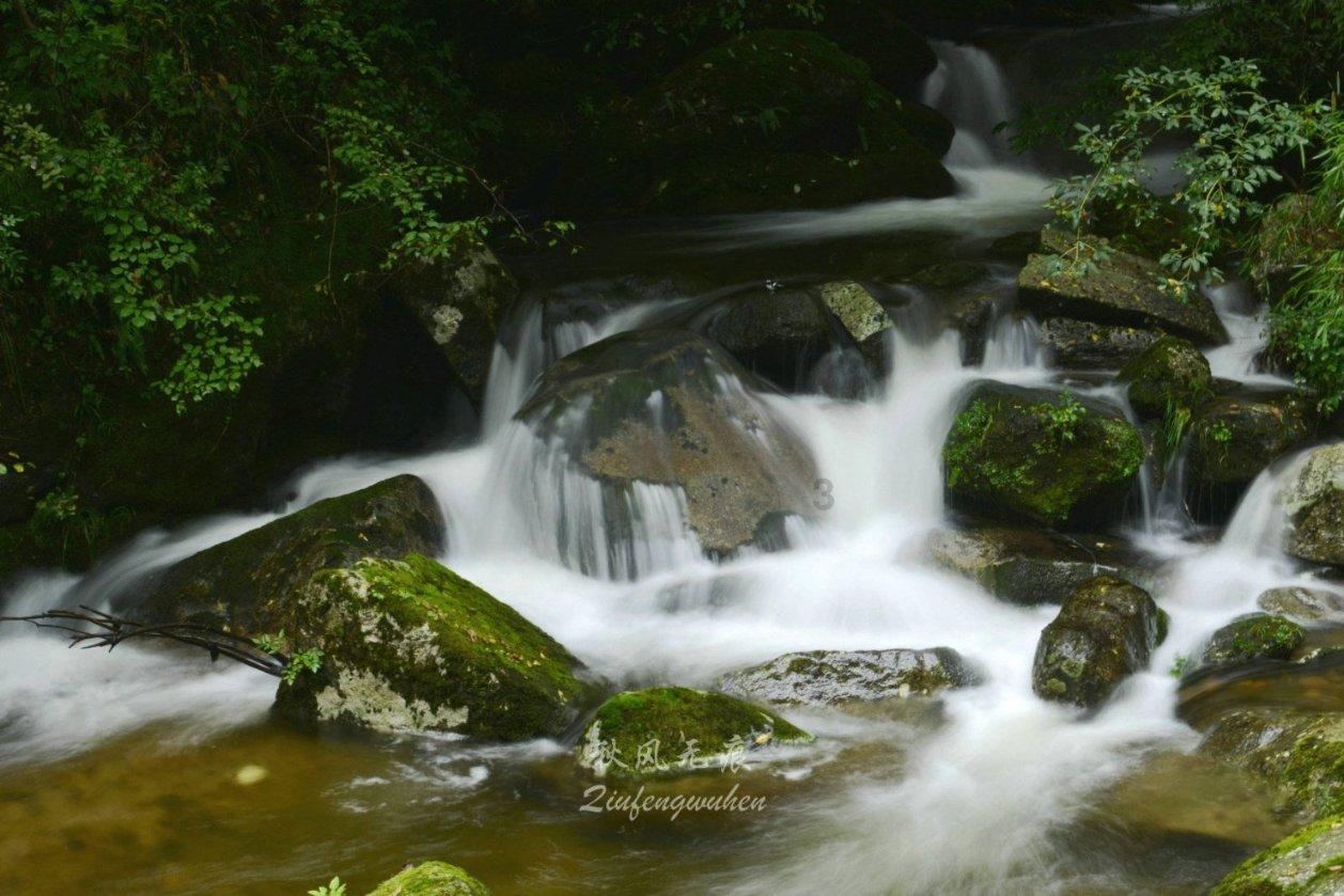 逃出奶油苹果屋